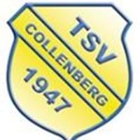 TSV Collenberg - Generalversammlung