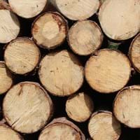 chopped-wood-1846182_960_720.jpg