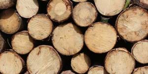 chopped-wood-1846182_960_720.jpg