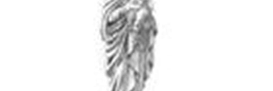 Heimatverein Collenberg e.V..JPG